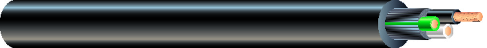 55809404