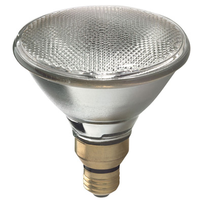 Halogen Light Bulb Lamp