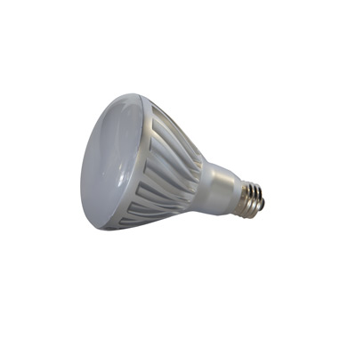 LED Can Light Bulb Lamp